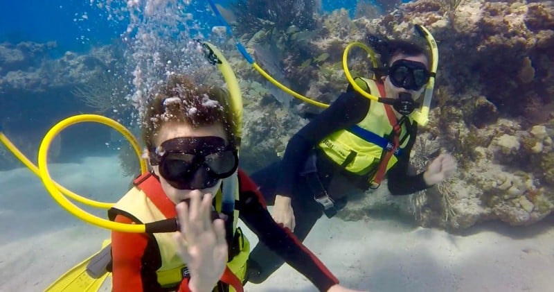 open water group snorkelling