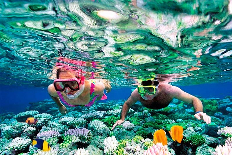 two people snorkelling in a shallow reef of colorful coral