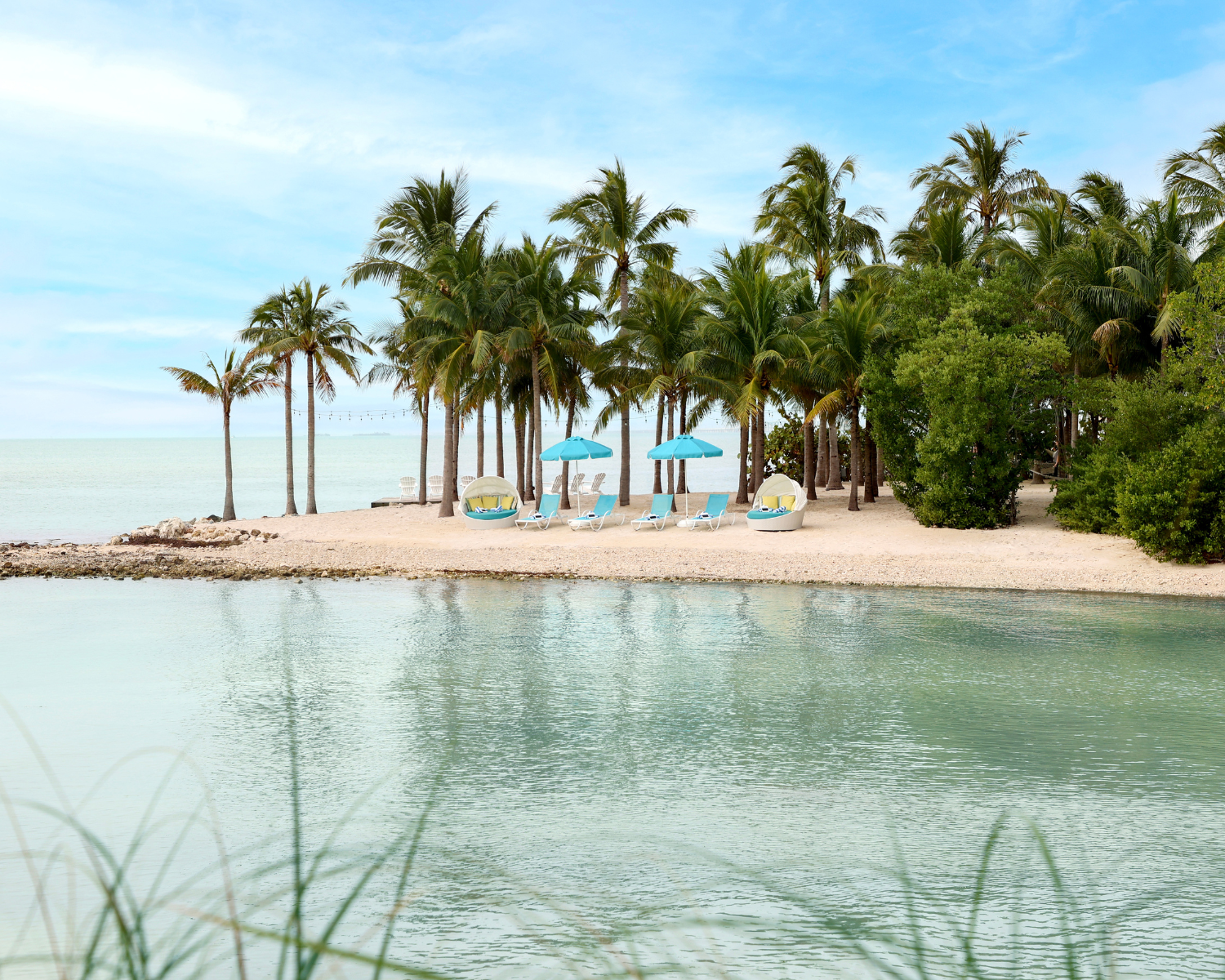 Oceanfront view of palm trees and lounge chairs at Isla Bella Beach Resort in Marathon Florida Keys all inclusive beachfront escape