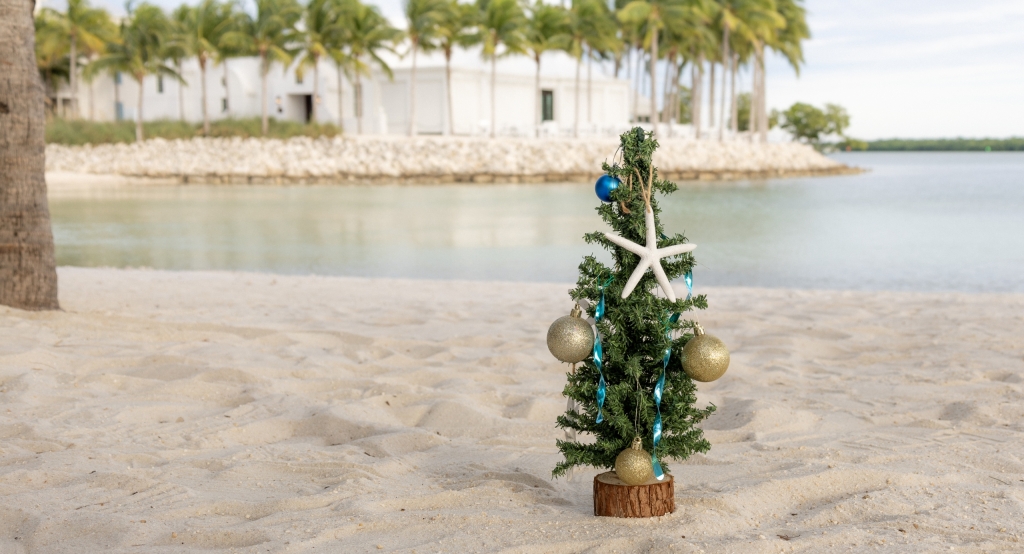 tiny christmas tree on a beach