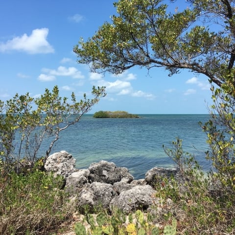 Crane Point Hammock