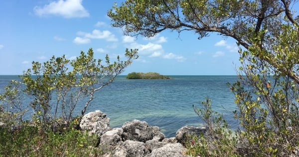Crane Point Hammock