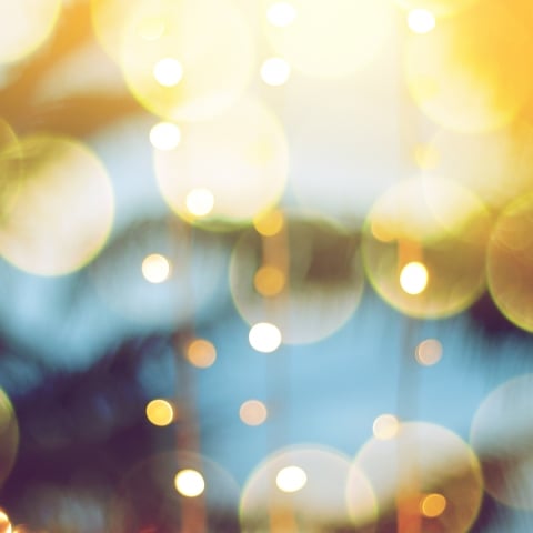 lights in front of palm trees