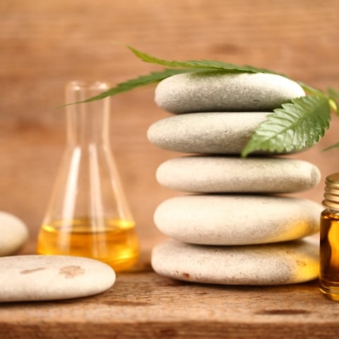 CBD Massage Oils