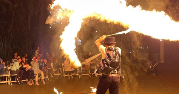 Night Circus Event