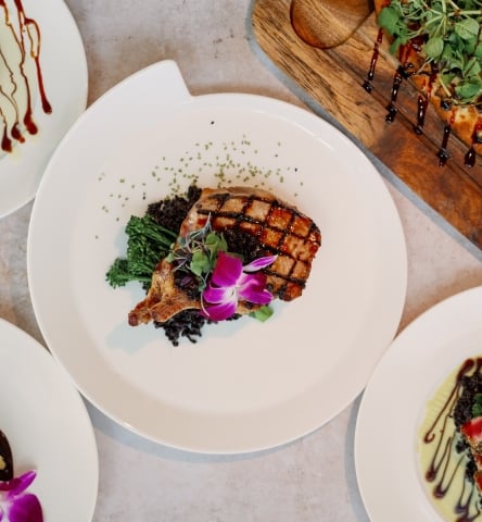 An overhead view of five elegantly plated gourmet dishes, including grilled meat, seared tuna, a small filet, a flatbread with greens, and an appetizer drizzled with sauce.