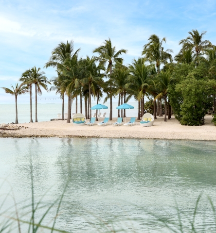 private beach area with blue loungers