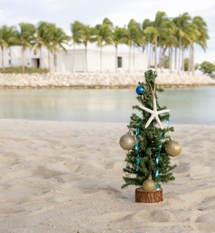 small christmas tree on a beach